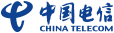 China Telecom Global Limited