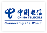 China Telecom Global