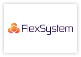 FLEXSYSTEM LIMITED