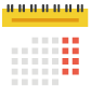 activity details date icon