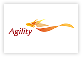 Agility Logistics Limited