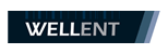 Wellent System Consultants Ltd