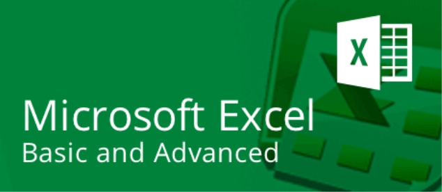 microsoft excel basic advanced goskills com ctgoodjobs