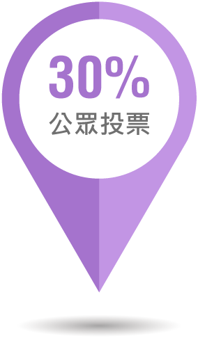 30% 公眾投票