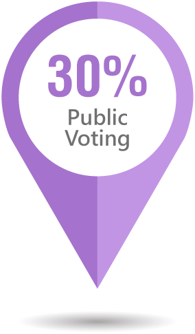 30% Public Voting